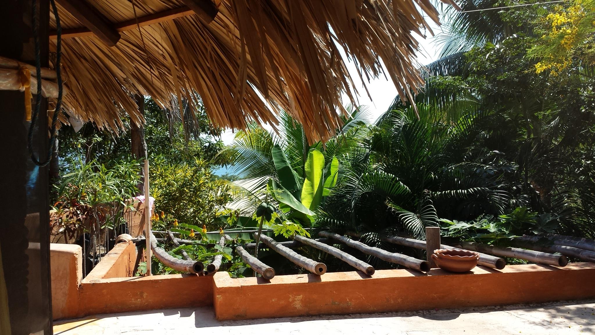 10922360_10205025360545876_146383120067530281_o