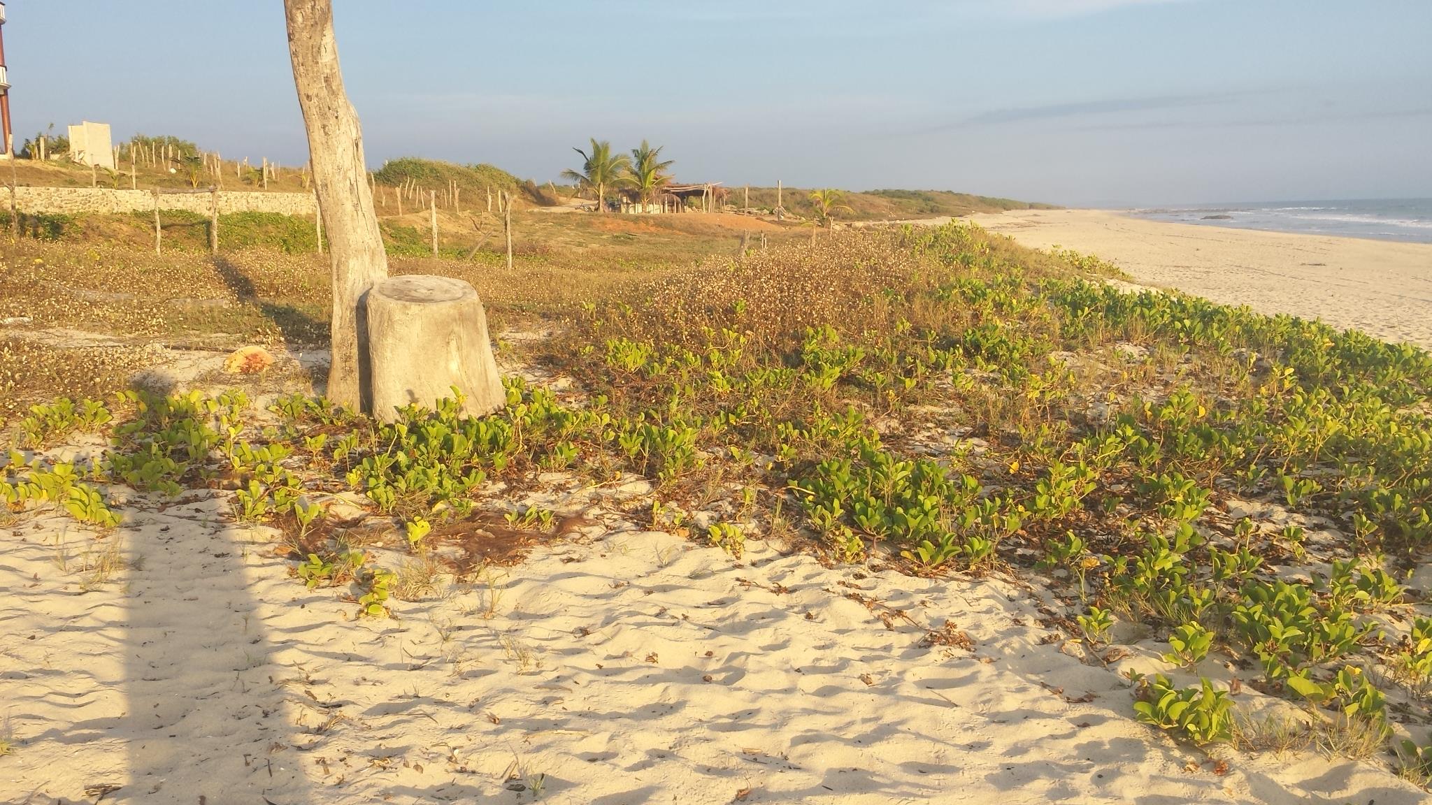 10945117_10205025373026188_8545529875687523575_o